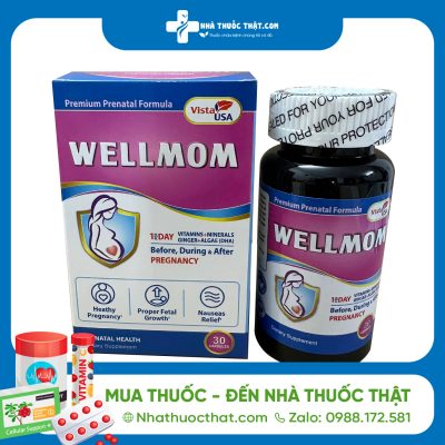 Wellmom Hộp 30 Viên - Viên Uống Bổ Bầu 2 Wellmom Hộp 30 Viên - Viên Uống Bổ Bầu