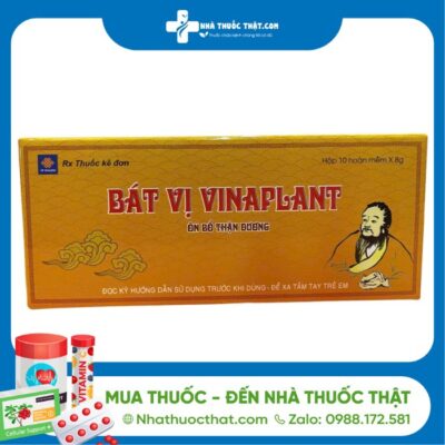 Bát Vị Vinaplant - Hộp 10 Viên - Chữa Đau Lưng Mỏi Gối, Thận Dương Hư Kém 2 Bát Vị Vinaplant - Hộp 10 Viên - Chữa Đau Lưng Mỏi Gối, Thận Dương Hư Kém