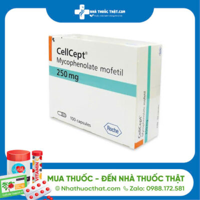 Cellcept – Hộp 100 Viên – Điều Trị Dự Phòng Hiện Tượng Thải Ghép Cấp Tính